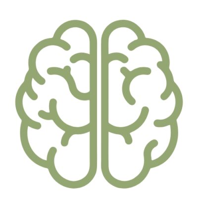 Food and brain